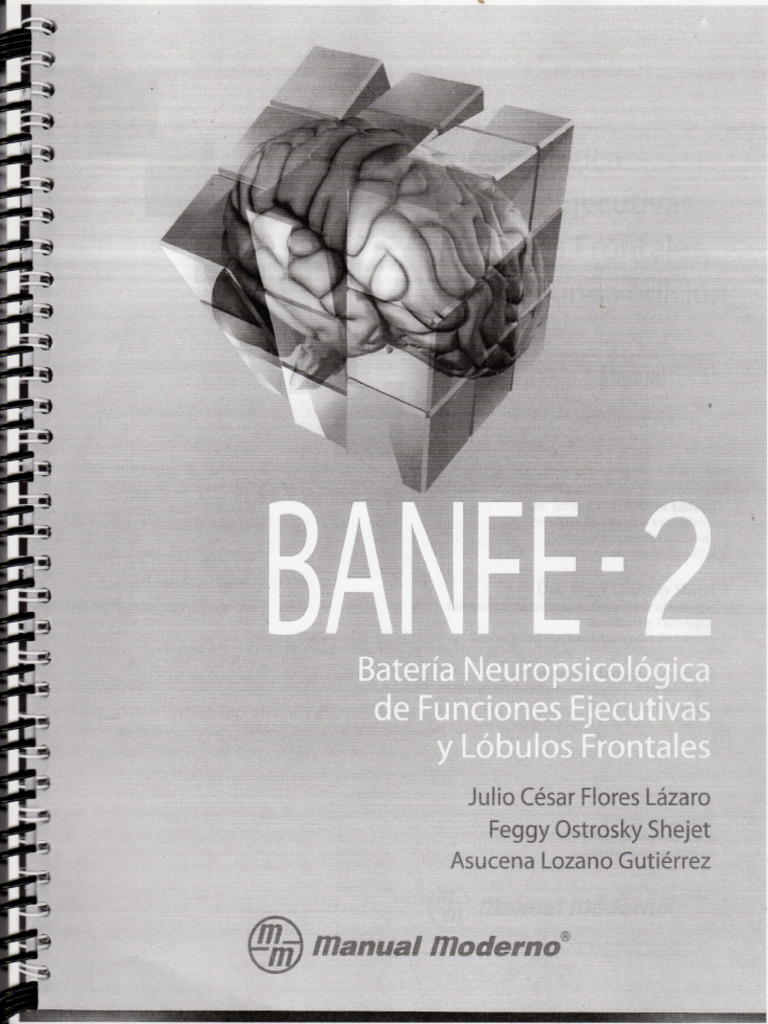 Manual Banfe 2 | PDF