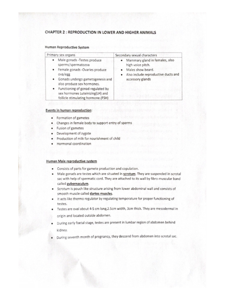 12th Standard Chapter 2 | PDF