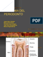 Anatomia Del Period on To