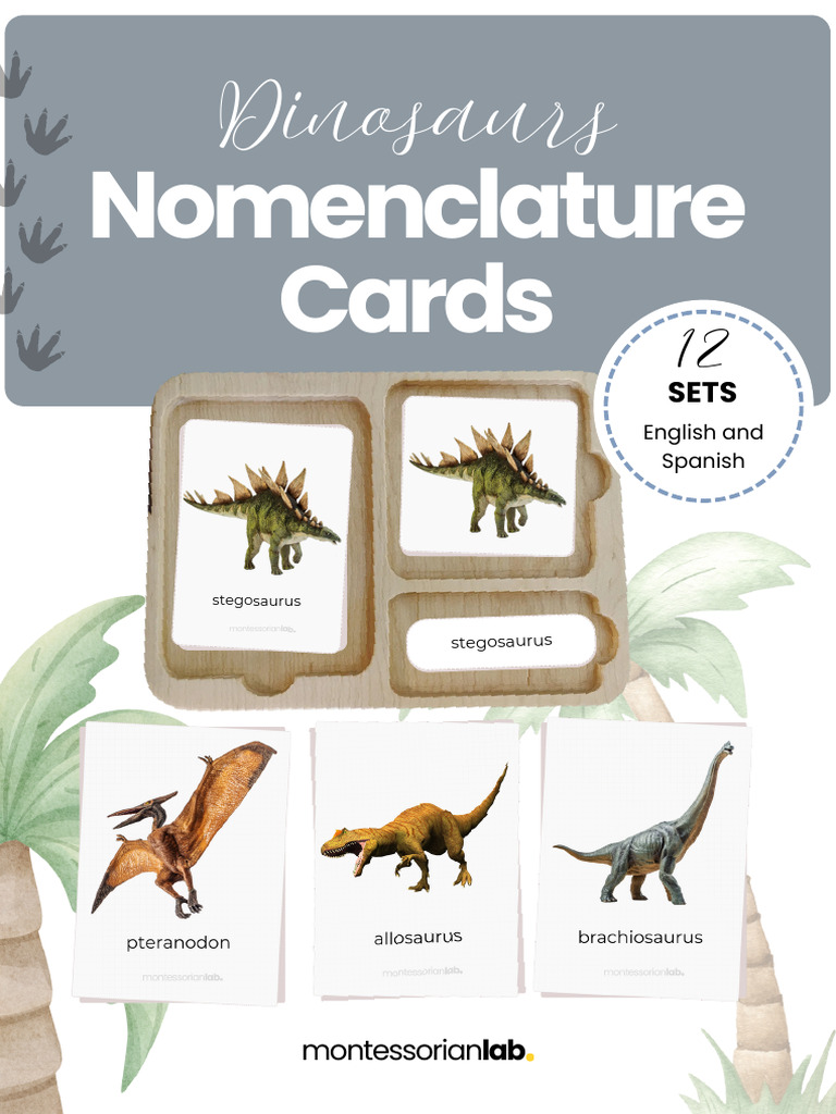 Montessori Dinosaur Nomenclature Cards | PDF