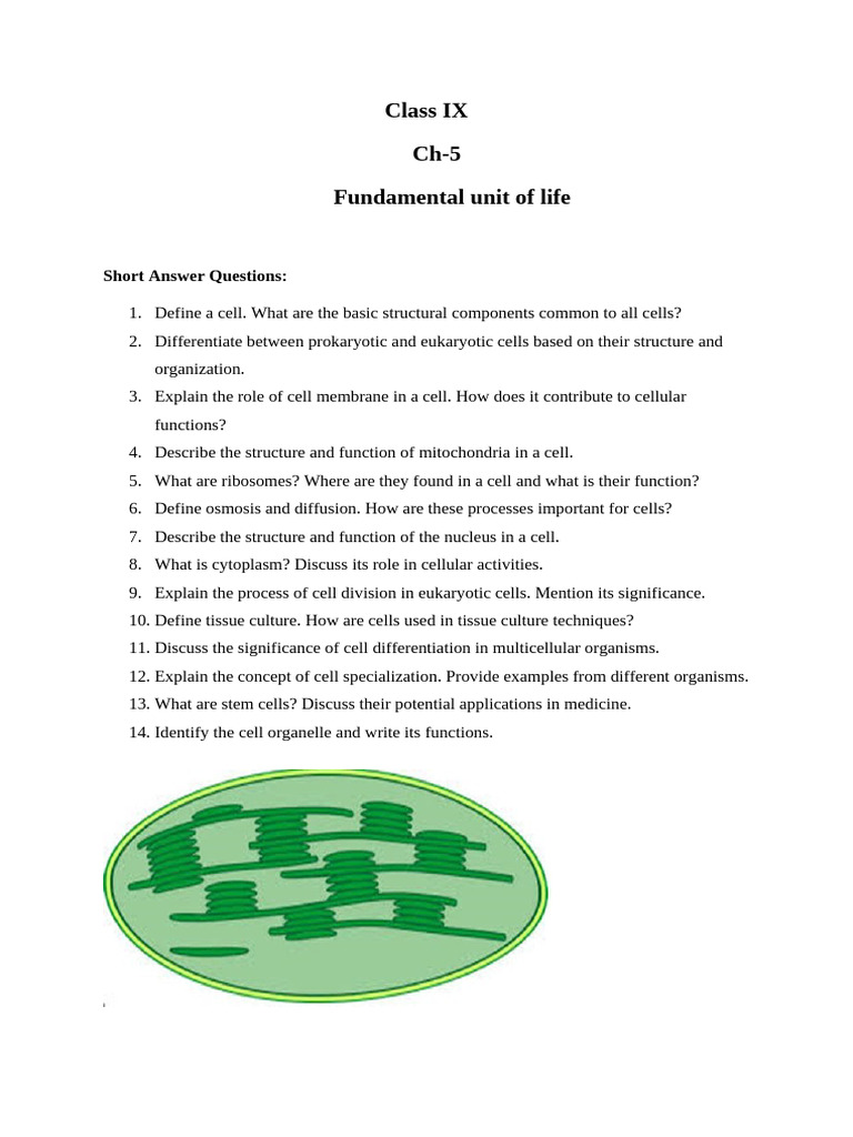 Understanding Cell Structure and Functions | PDF | Cell (Biology ...