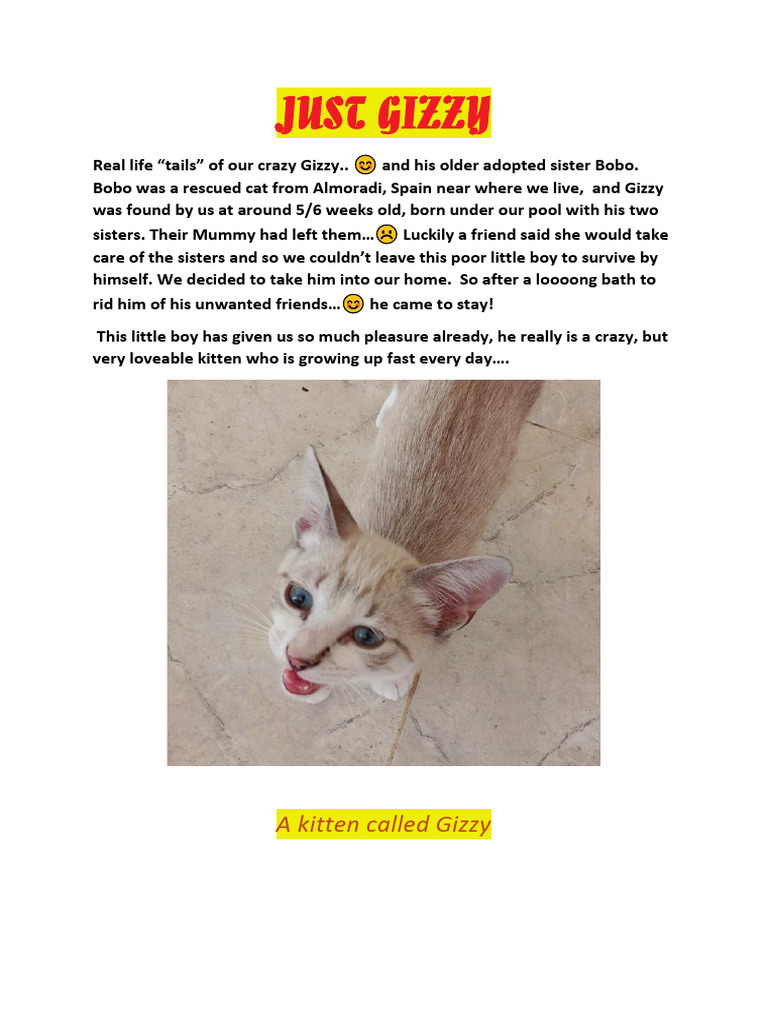 Just Gizzy | PDF | Zoology