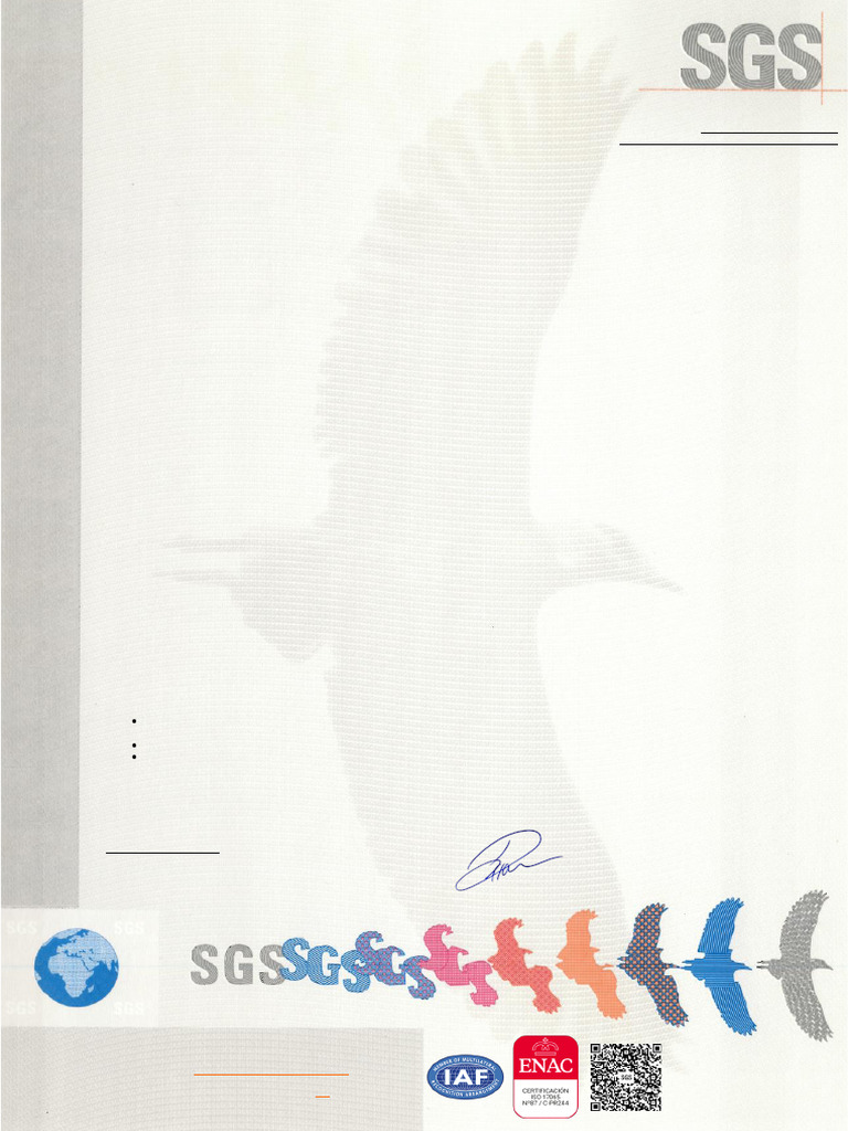 SOFAR PowerMaster - Certificate - VDE-AR-N 4110 (Unit Certificate ...