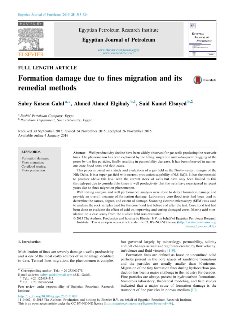 Formation Damage from Fines Migration | PDF | Petroleum Reservoir ...