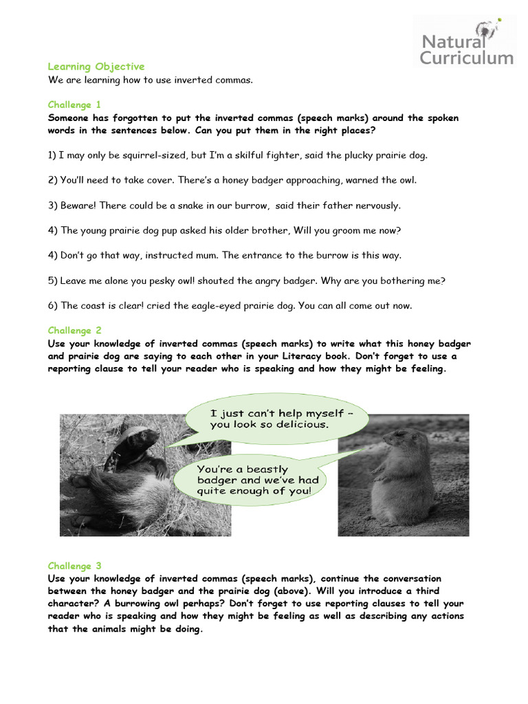 Mastering Inverted Commas in Dialogue | PDF