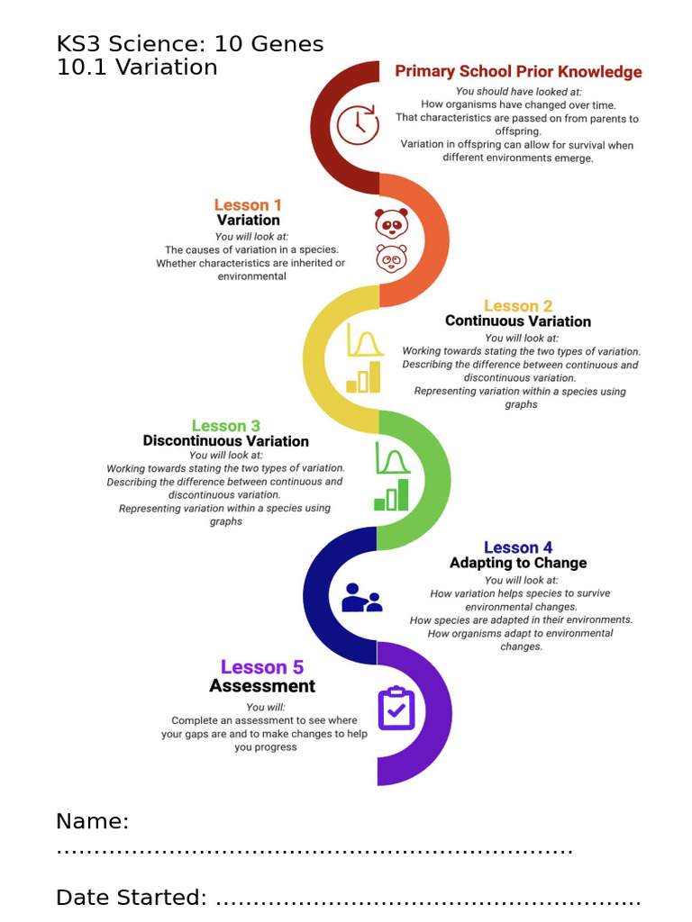 KS3 Variation: Types and Examples | PDF | Adaptation | Biology
