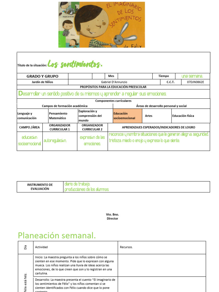 Plan Emociones | PDF | Educación de la primera infancia | Las emociones