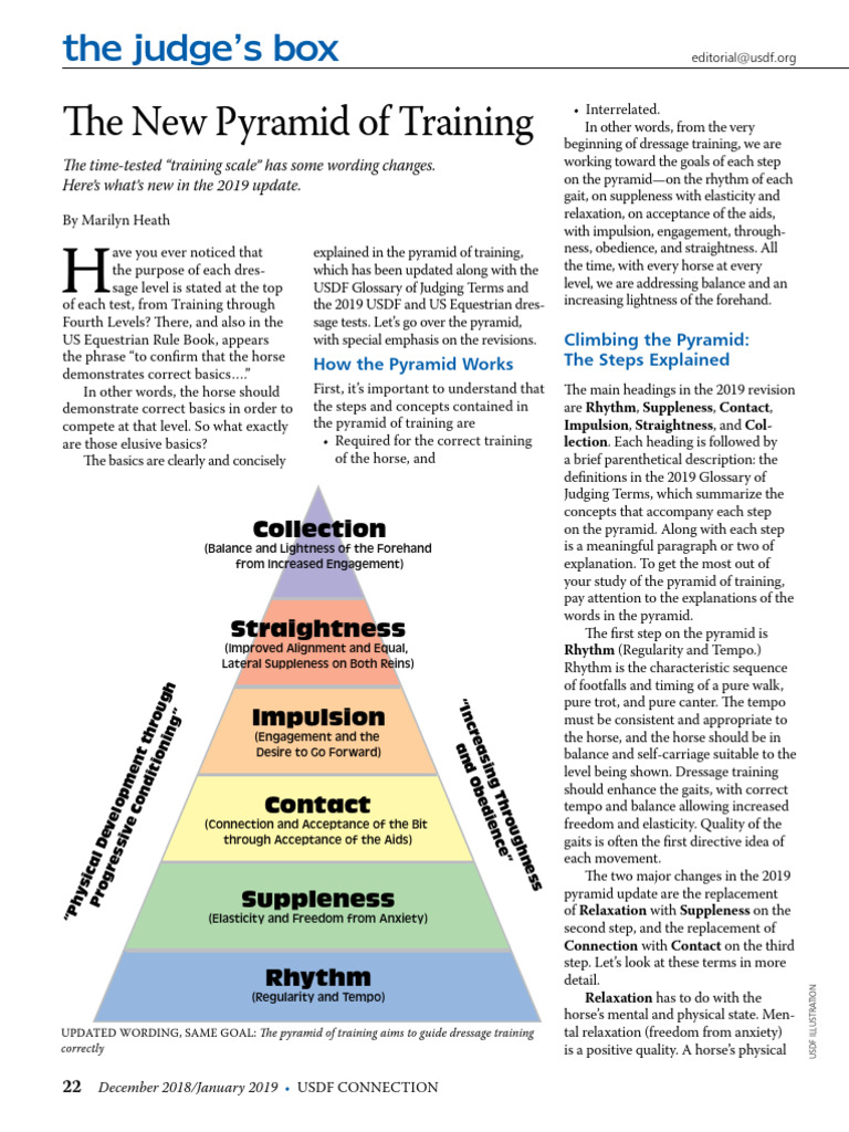 Updates to the Dressage Training Pyramid | PDF | Dressage | Horses
