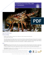 Cayman Islands National Biodiversity Action Plan 2009 3.M.1.3 Marine Species - Invertebrates Spiny Lobster