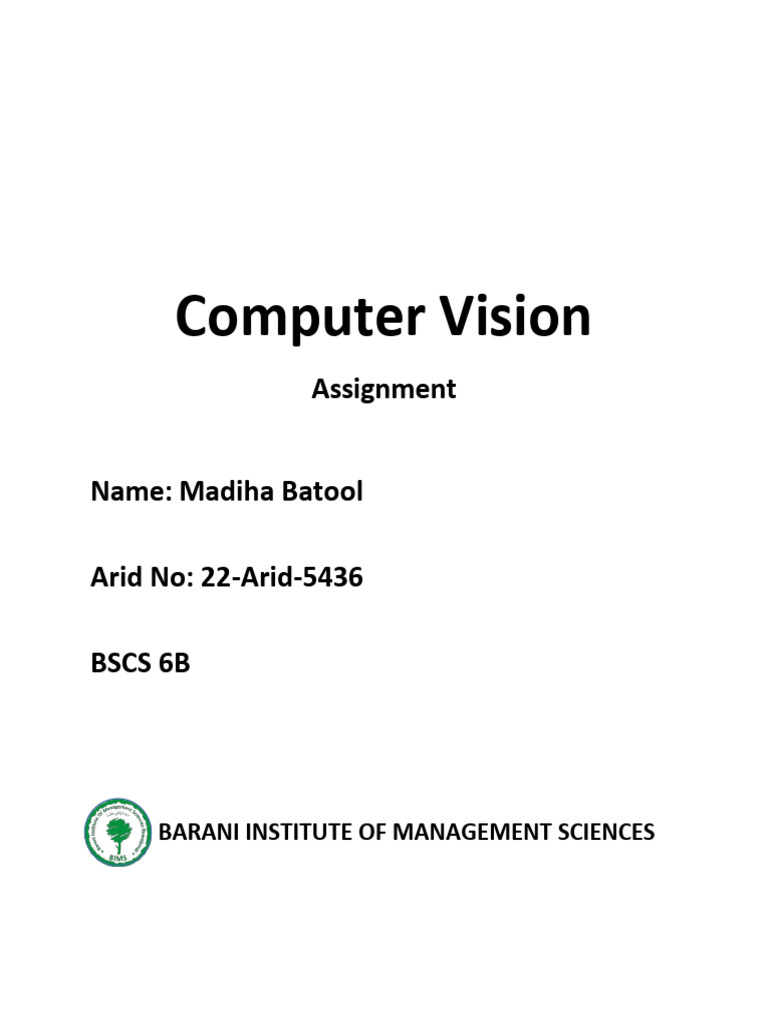 Computer Vision Techniques Overview | PDF