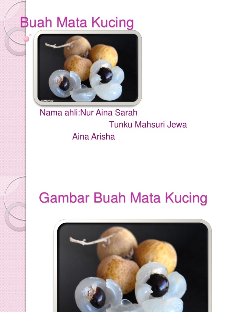 Buah Mata Kucing Pdf