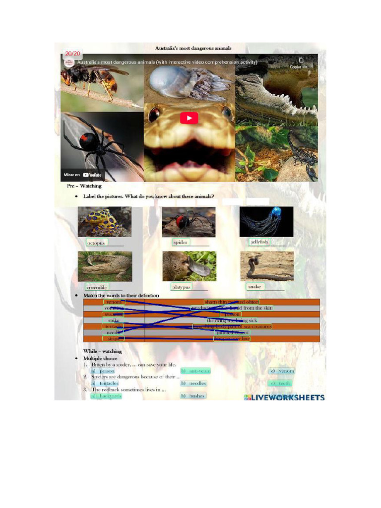 Activity 2 UNIT 2 | PDF