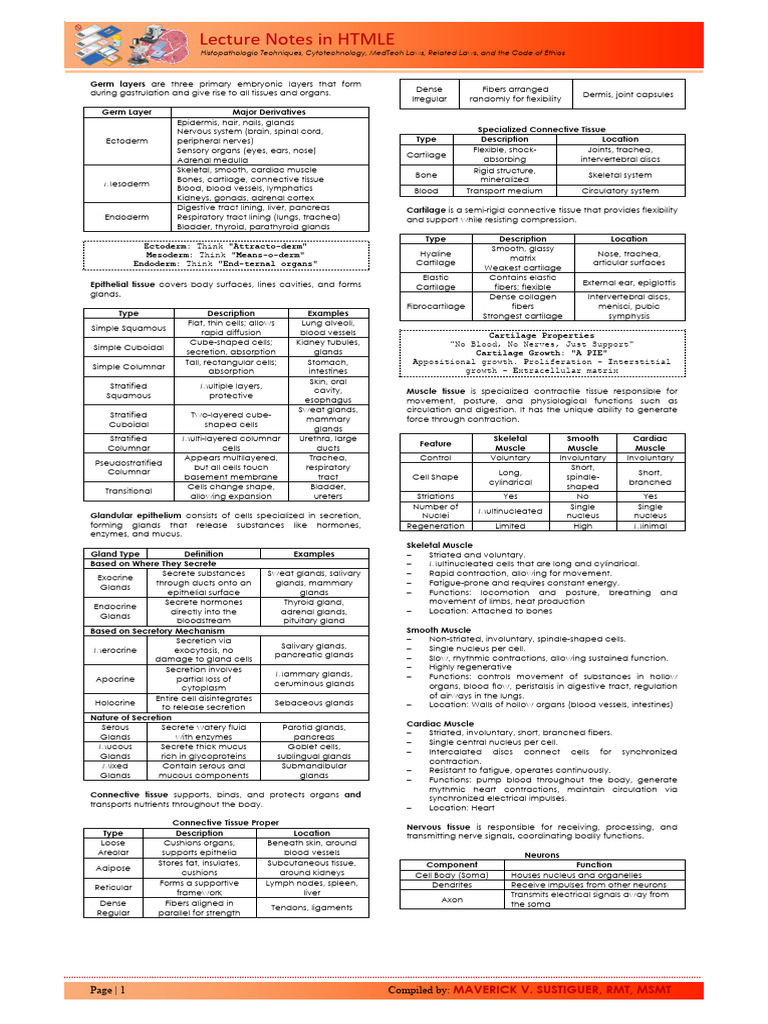 Lecture Notes in Htmle - Sustiguer (1) | PDF | Epithelium | Muscle