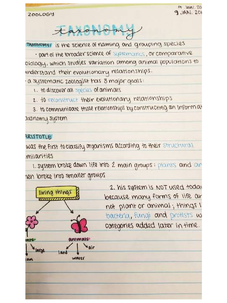 Engg 1 | PDF