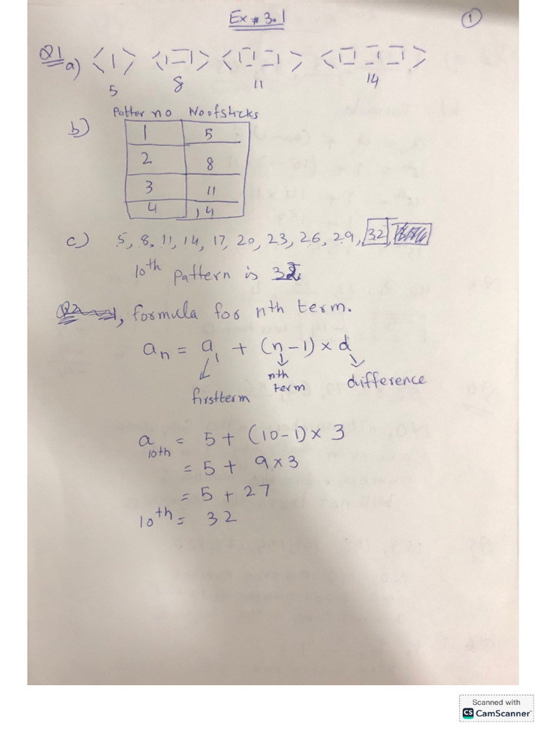 Grade5 Ex#3.1 | PDF