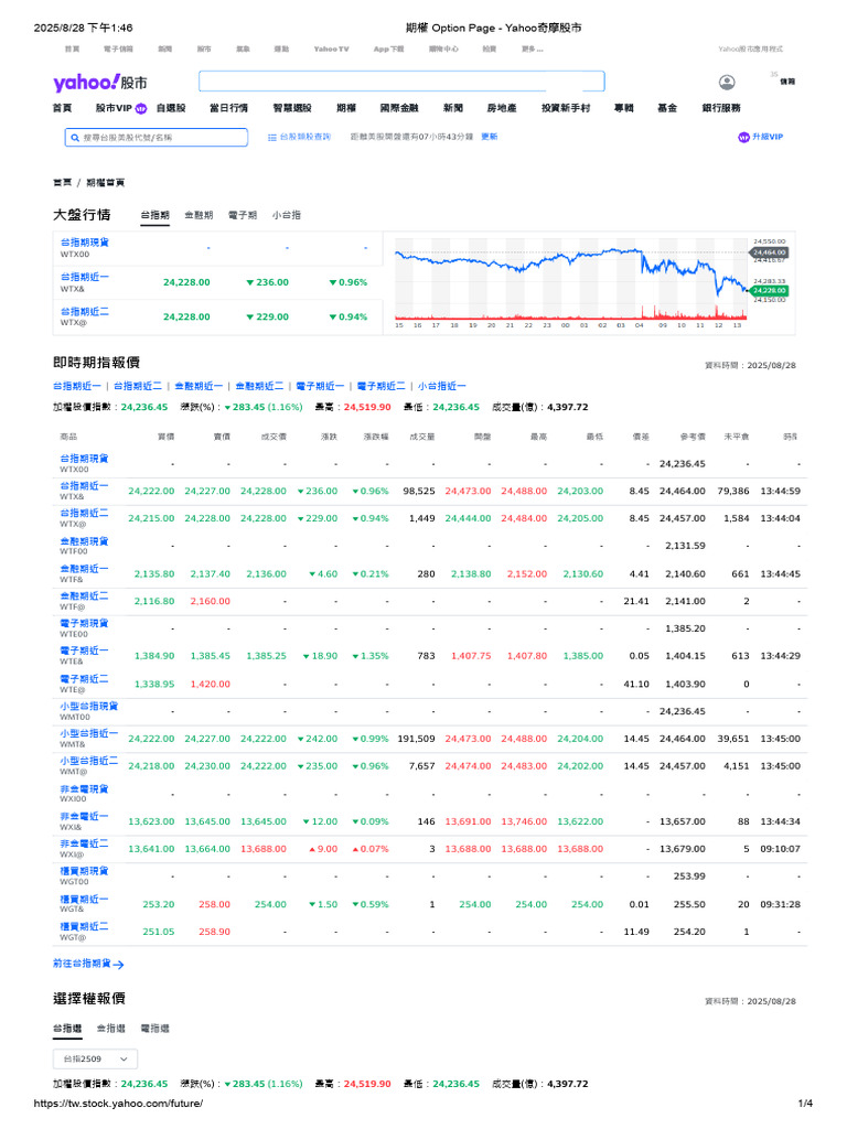 期權Option Page - Yahoo奇摩股市20250828 | PDF