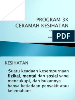 Program 3k