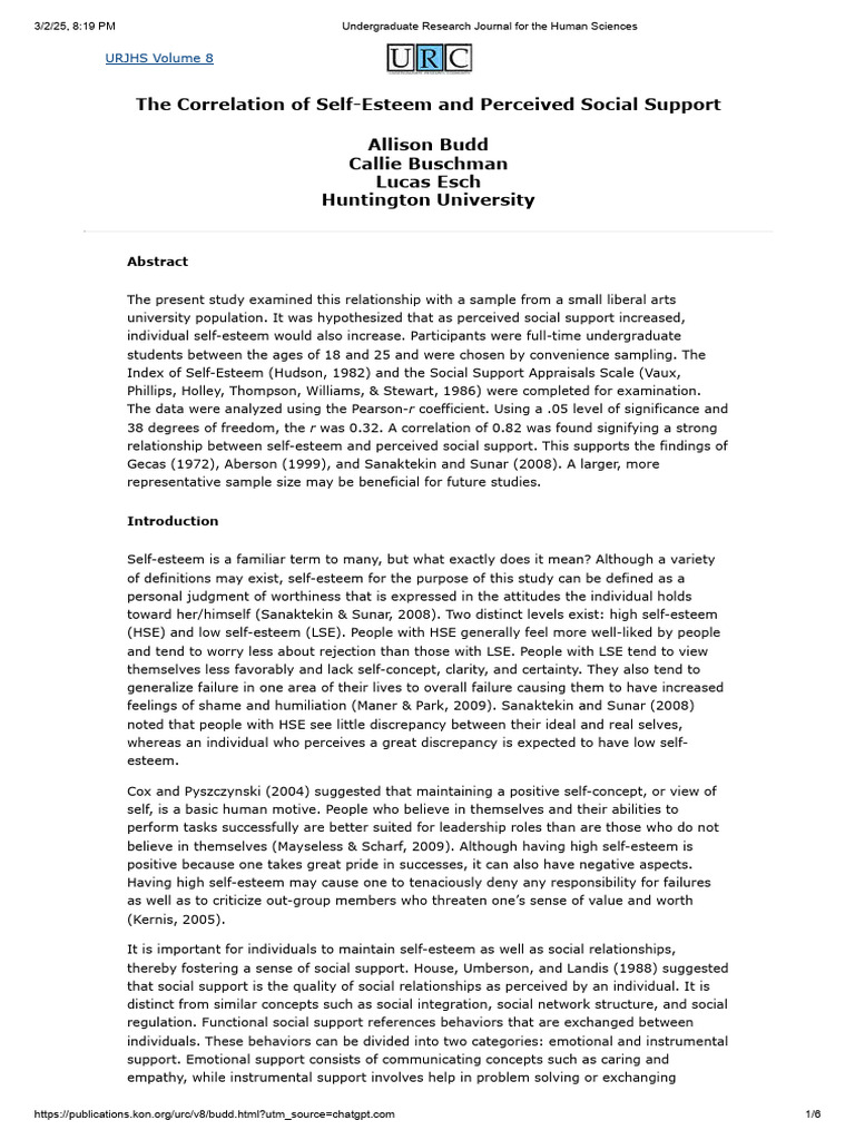 Self-Esteem and Social Support Correlation | PDF | Self Esteem | Social ...