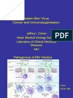 Epstein-Barr Virus: Cancer and Immunosuppression