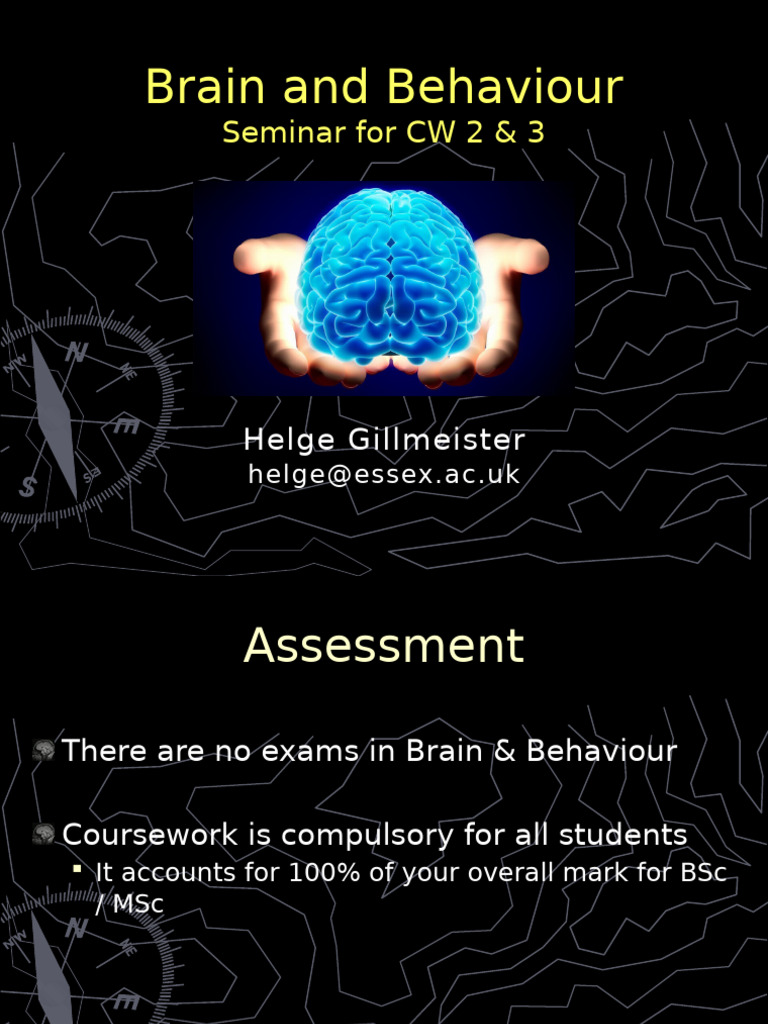 CW2 CW3 Information 2024 | PDF | Dementia | Brain
