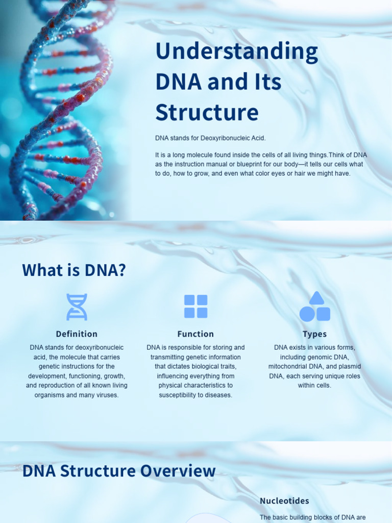 DNA Structure and Function Explained | PDF | Dna | Genetics