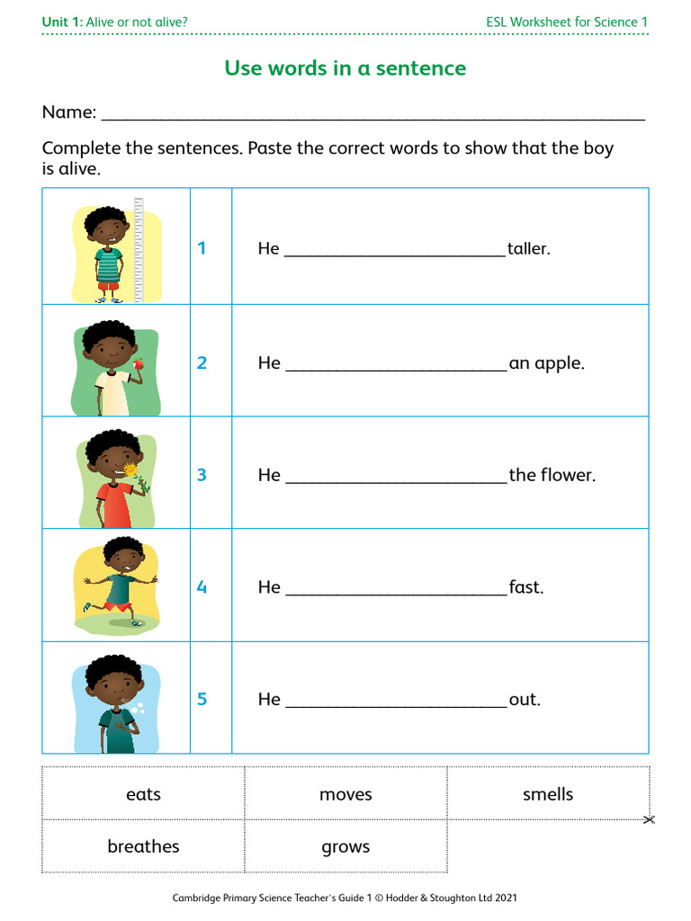 ESL Worksheet 1 - Use Words in A Sentence | PDF