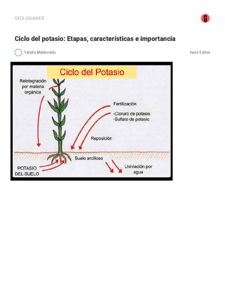 Importancia del ciclo del potasio | PDF | Suelo | Potasio