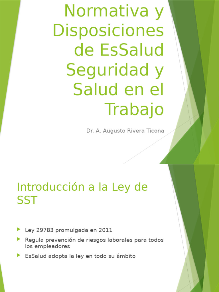 Normativa de Seguridad y Salud en EsSalud | PDF