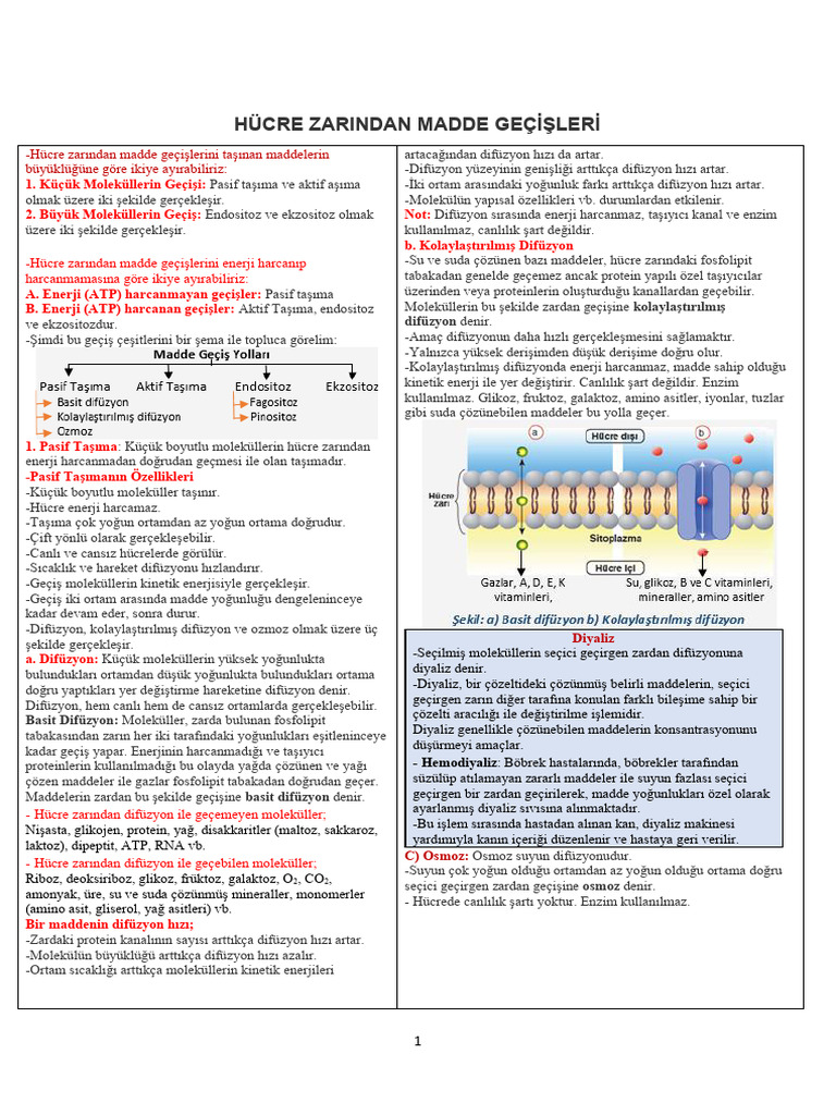 Madde Geçişleri-1 | PDF