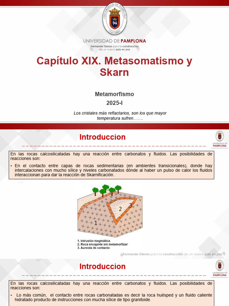 Metasomatismo y Formación de Skarn | PDF | Minerales | Petrología