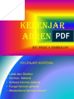 Copy of Kelenjar-Adrenal