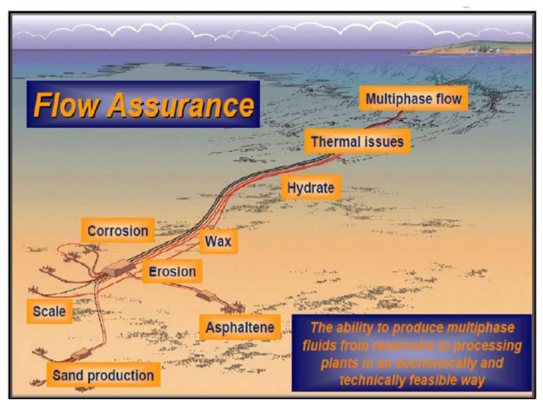 Flow Assurance Challenges | PDF