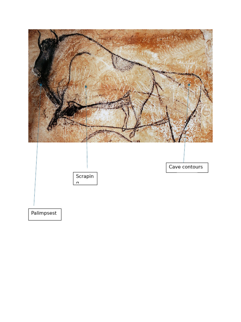 Techniques in Paleolithic Cave Art | PDF