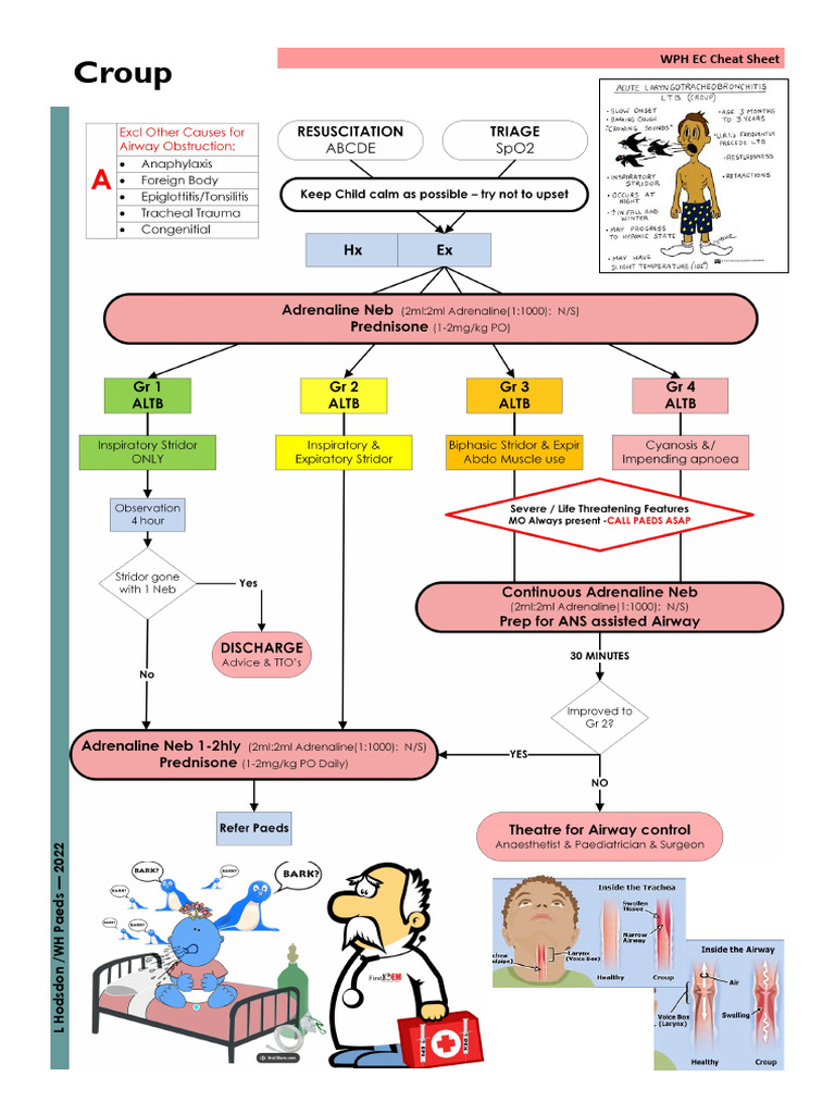 Paeds Croup | PDF