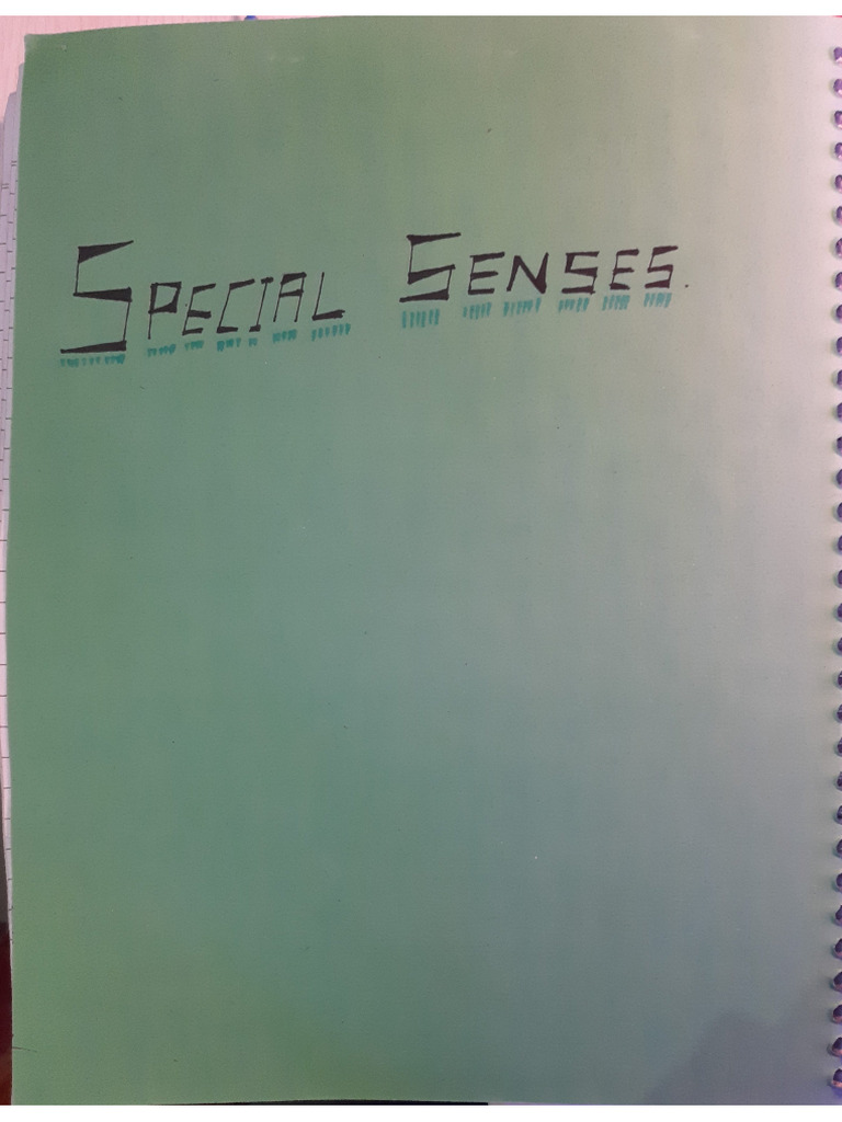 Special Sense | PDF