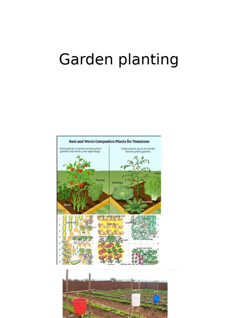 Garden Planting | PDF