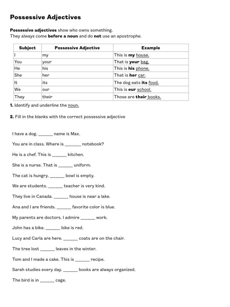 Understanding Possessive Adjectives & Pronouns | PDF | Adjective | Verb