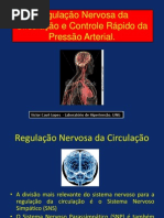 Mecanismos de controle rápido da Pressão arterial..