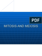 Mitosis vs Meiosis: Cell Division Stages Explained