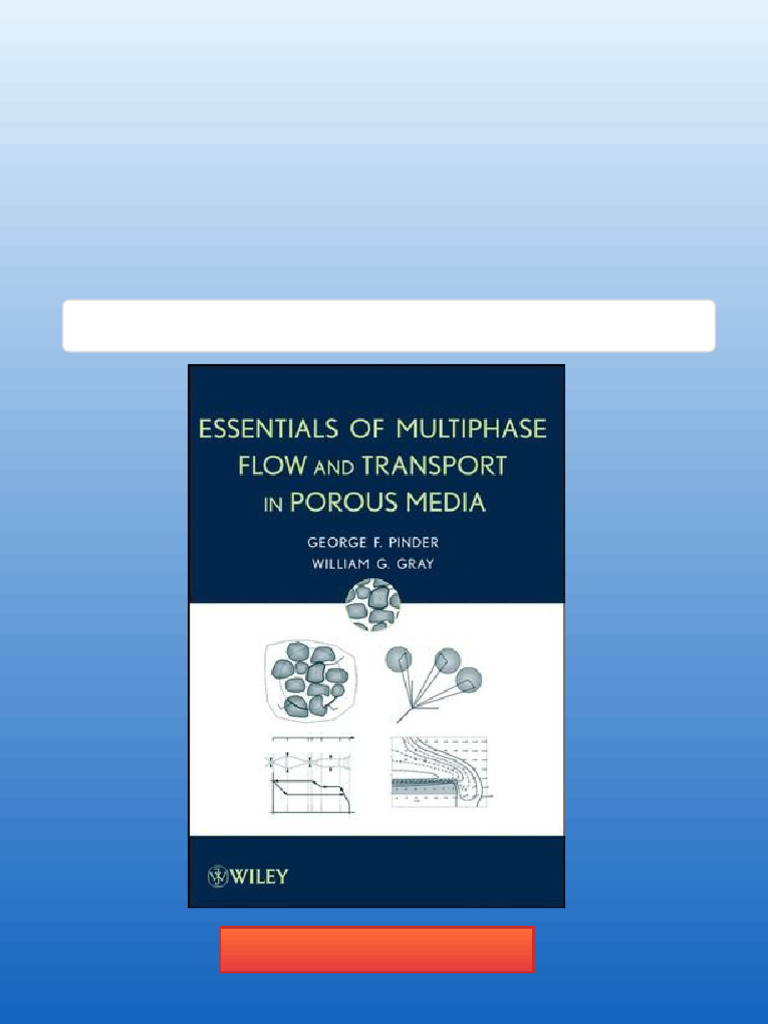 Essentials of Multiphase Flow in Porous Media 1st Edition George F ...