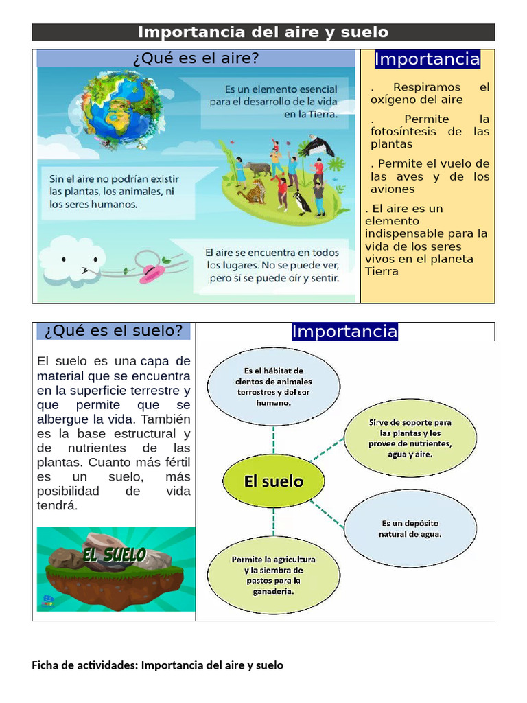 Ficha - Importancia Del Aire y Suelo | PDF | Atmósfera de tierra | Plantas