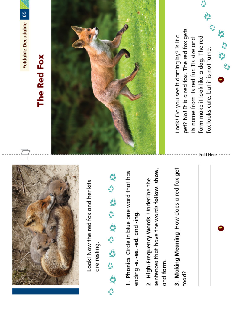 Red Fox: Habitat and Behavior Guide | PDF
