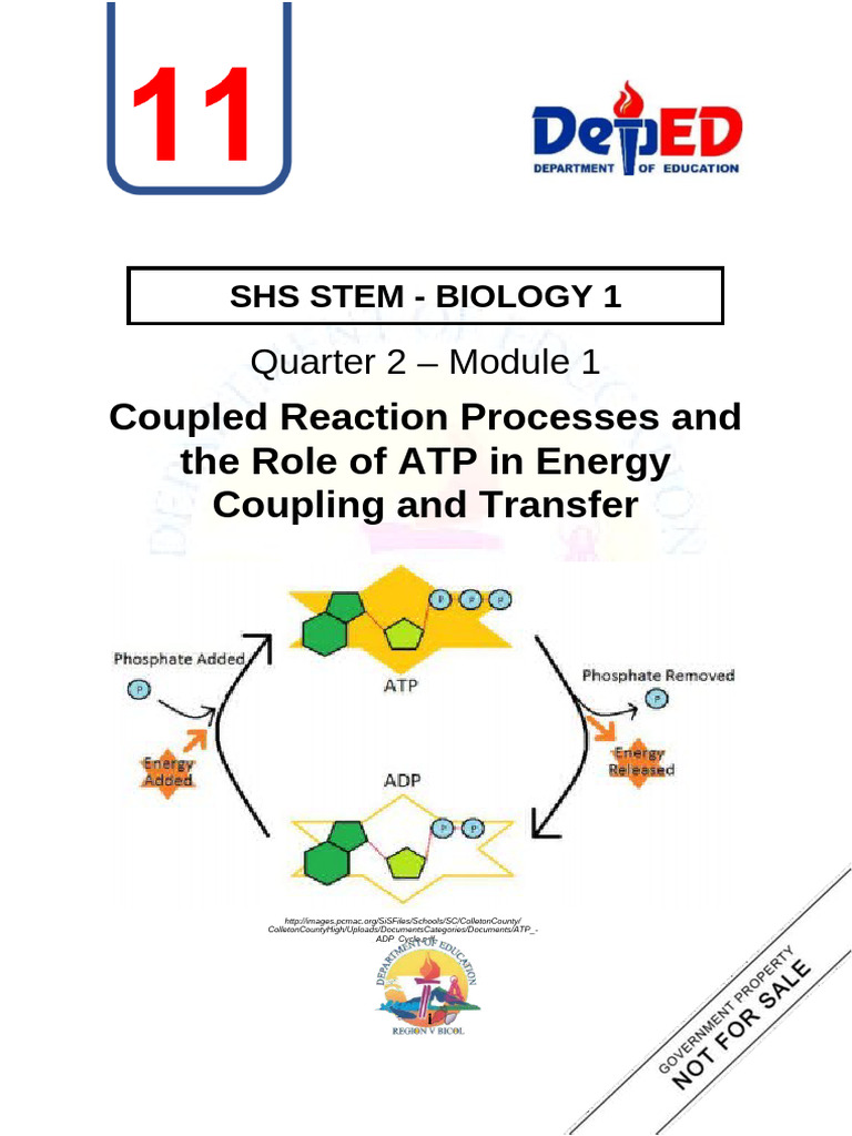 SHS STEM Bio1 Q2 Week 1 Module 1 Coupled Reaction Processes and The ...