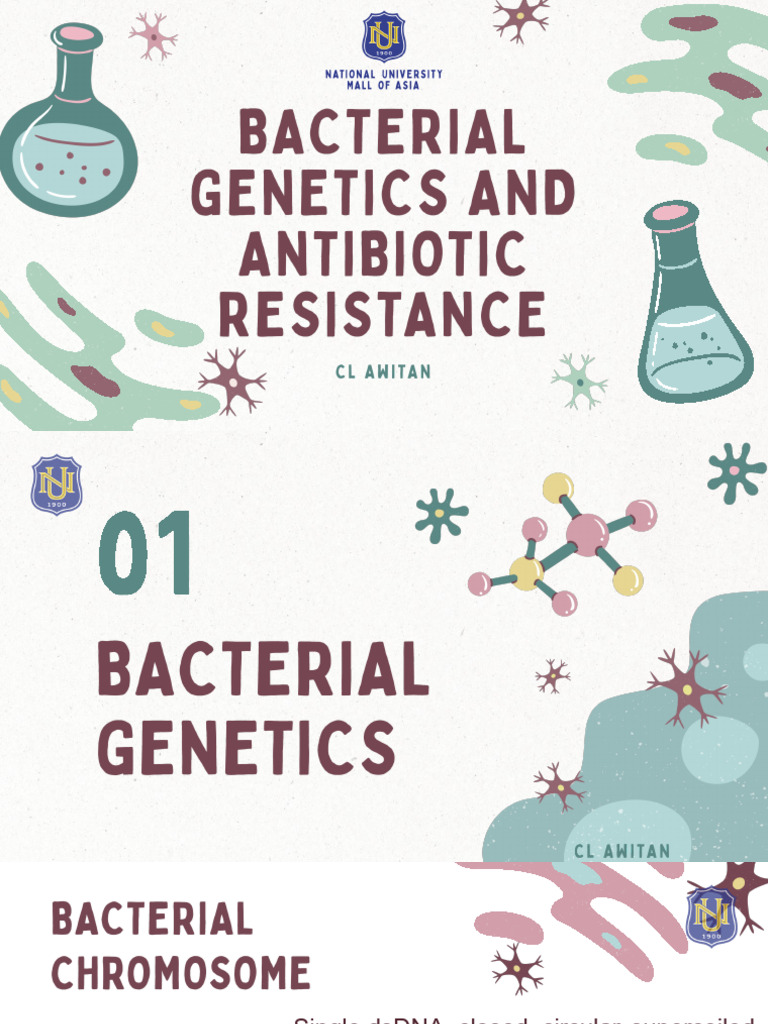 Bacterial Genetics and Antimicrobial Resistance | PDF | Plasmid | Bacteria