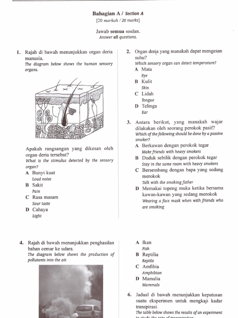 Science f3 2024 Set 1 | PDF