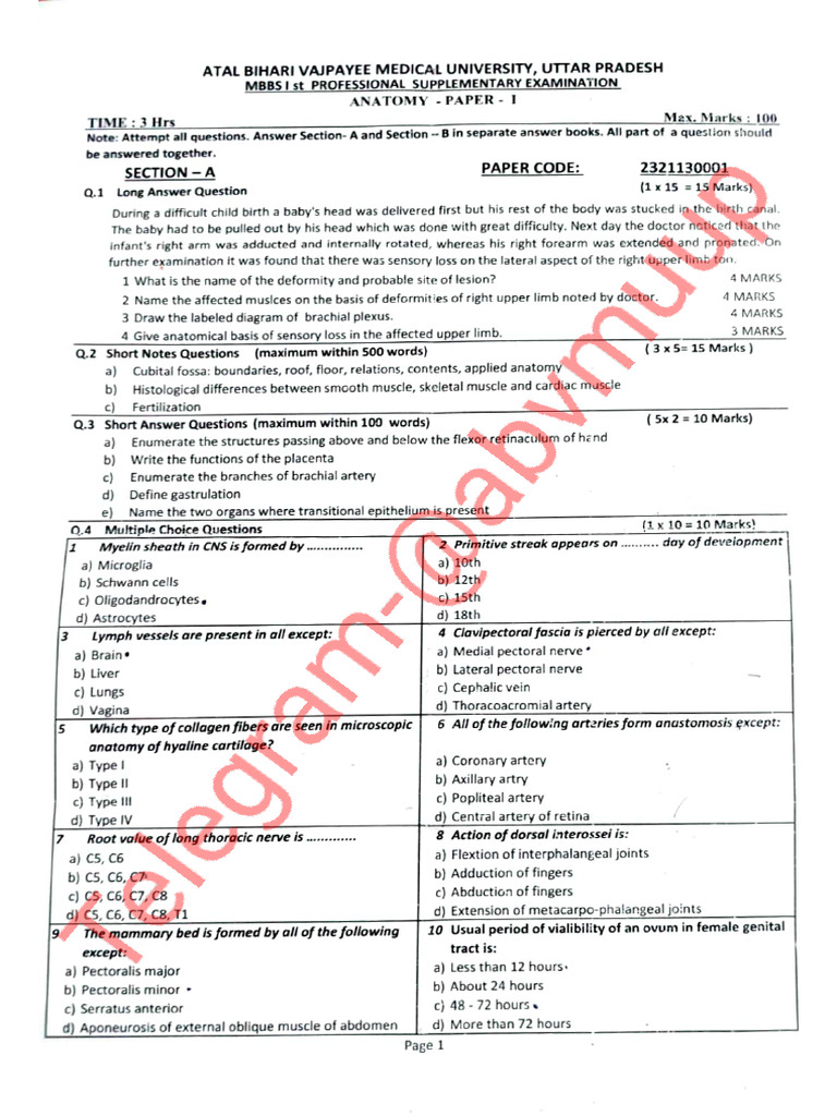 2021 Batch 1st Proff Supply PYQ | PDF