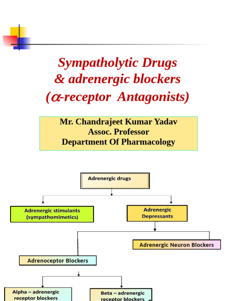 Sympatholytic Drugs Overview | PDF | Norepinephrine | Receptor Antagonist