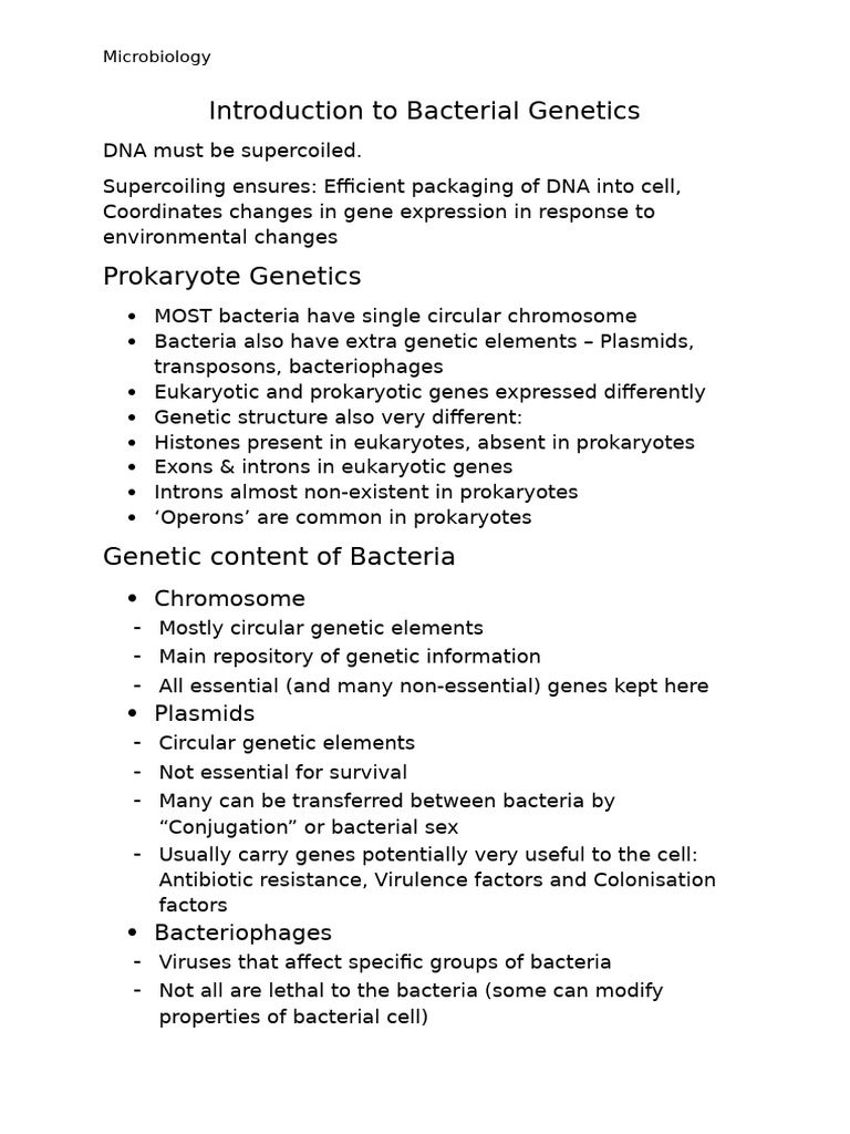 Bacterial Genetics and DNA Replication | PDF | Dna Replication | Gene