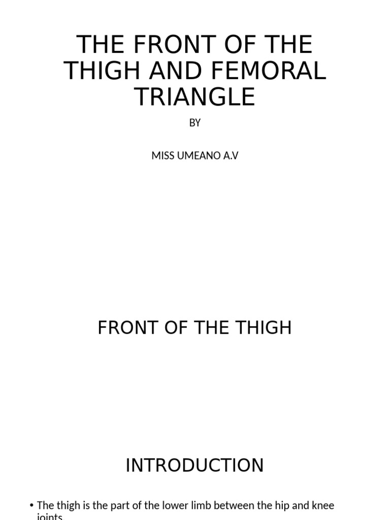 The Front of The Thigh and Femoral Triangle | PDF | Human Leg | Knee