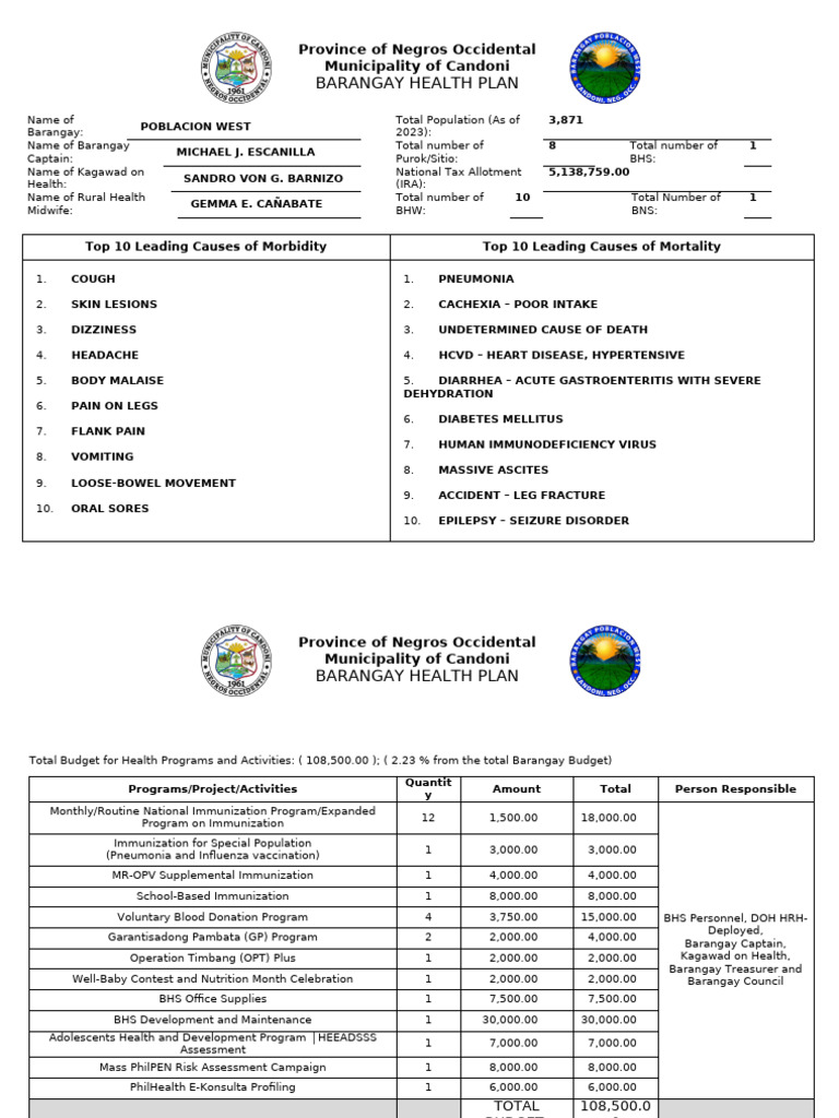 WEST Barangay Health Plan | PDF | Pneumonia | Diseases And Disorders